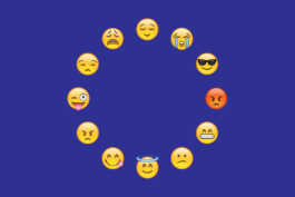 🌹🐰 STUDIO ROOS HAASJES