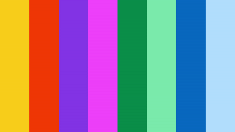 🌹🐰 STUDIO ROOS HAASJES