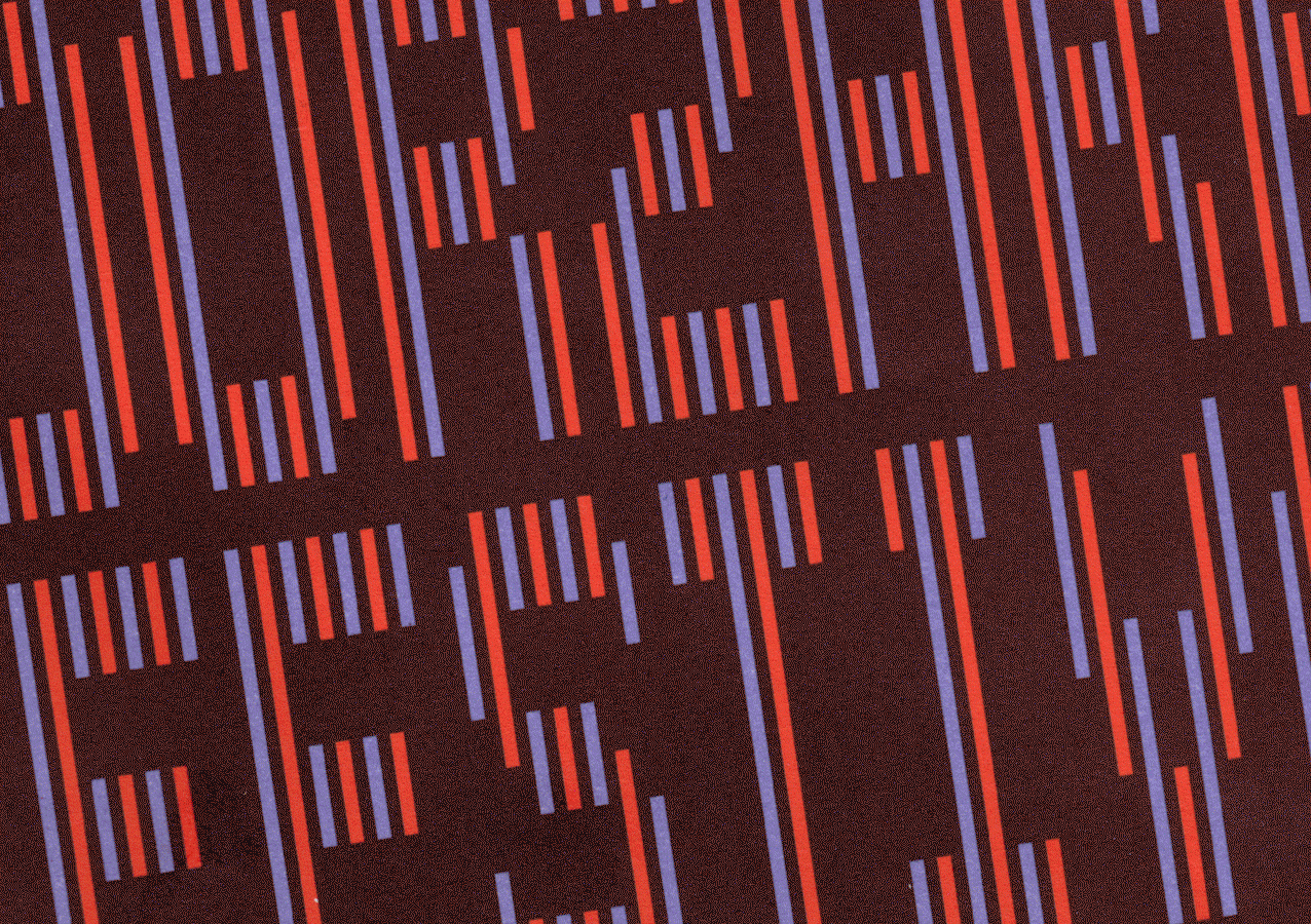 🌹🐰 STUDIO ROOS HAASJES